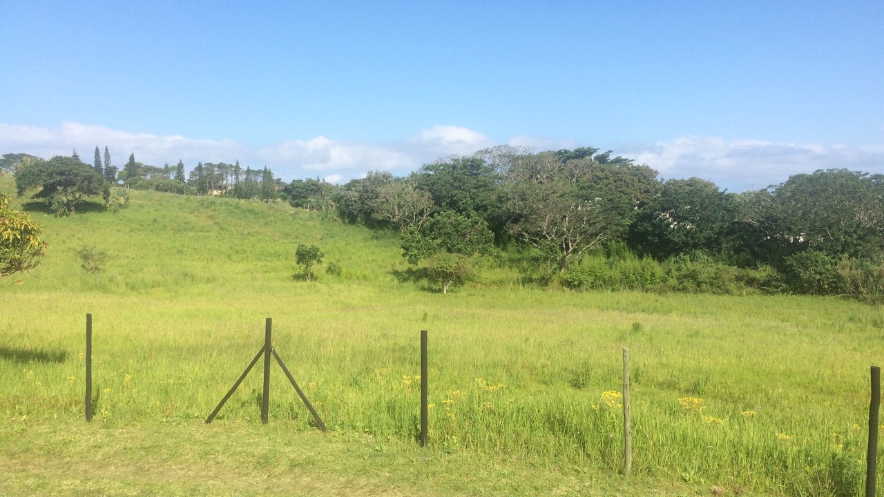 Photo of Outdoor in Port Edward