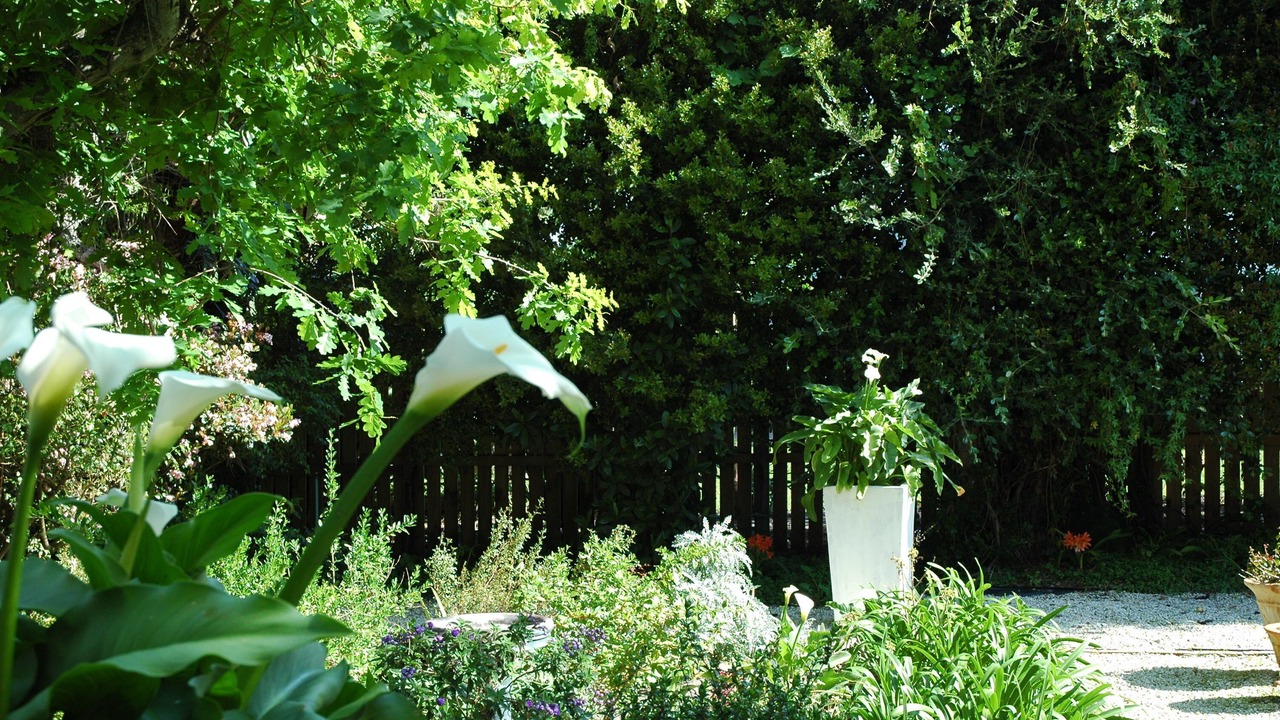 Photo of Outdoor in Eastcliff
