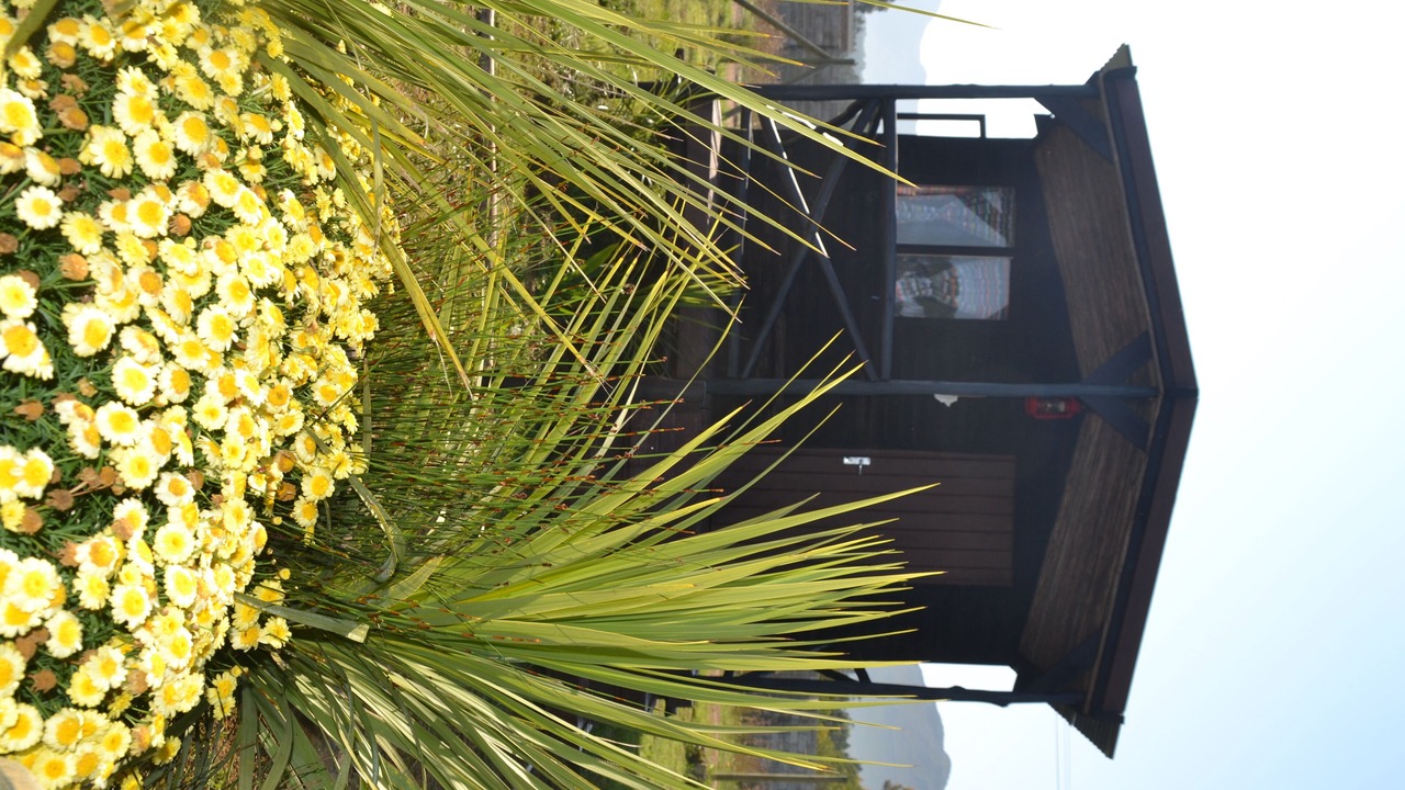 Photo of Outdoor in Gordons Bay Central
