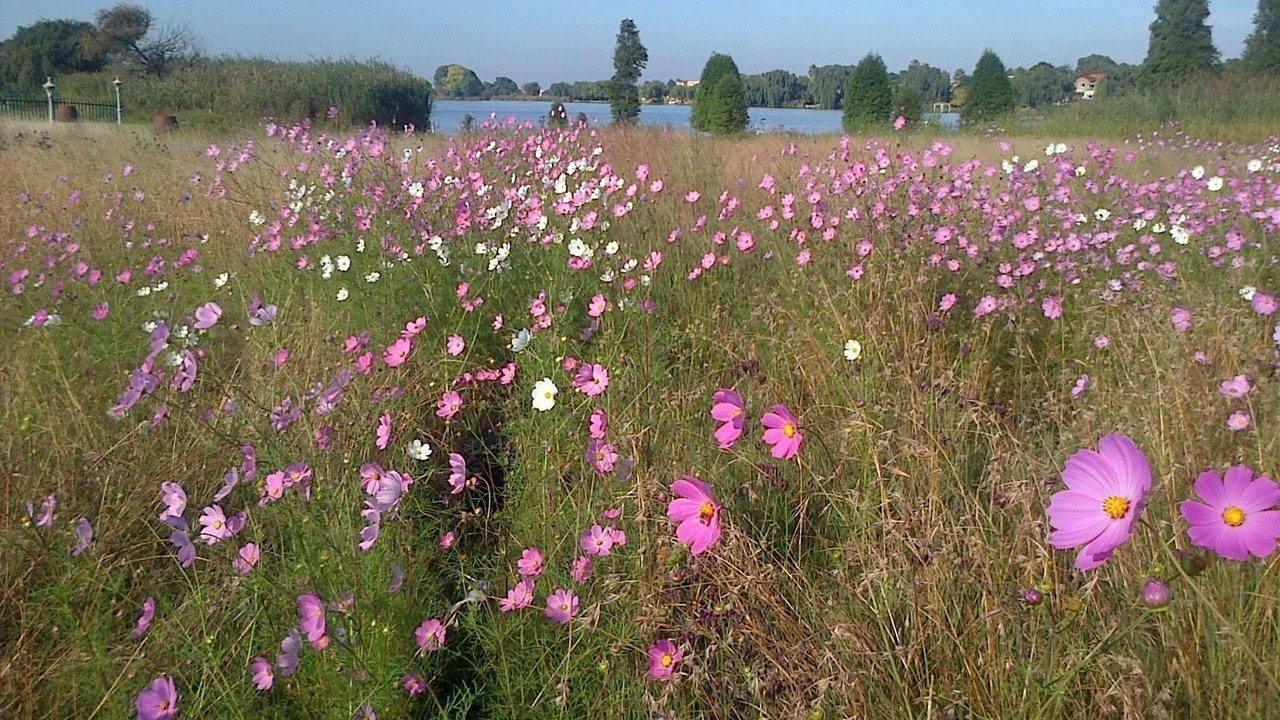 Photo of Outdoor in Brakpan