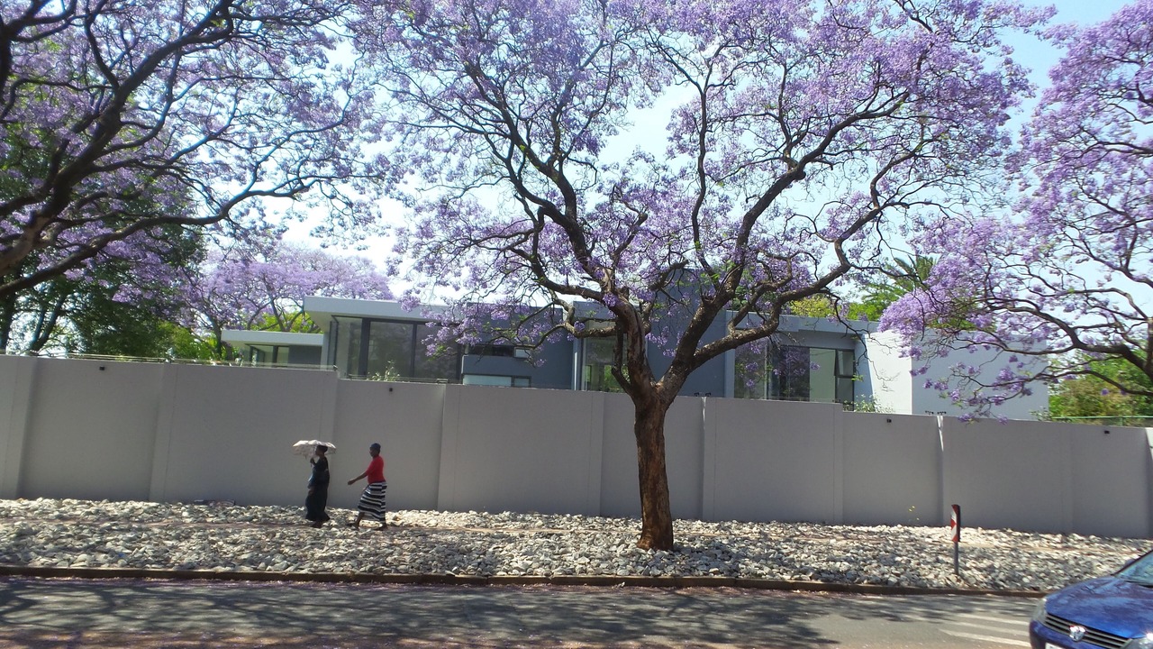 Photo of Outdoor in Greater Johannesburg Metropolitan Area