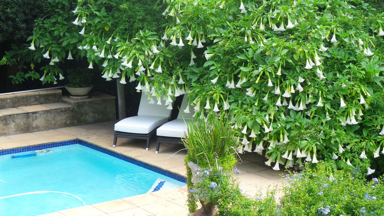 Photo of Outdoor in Greater Johannesburg Metropolitan Area