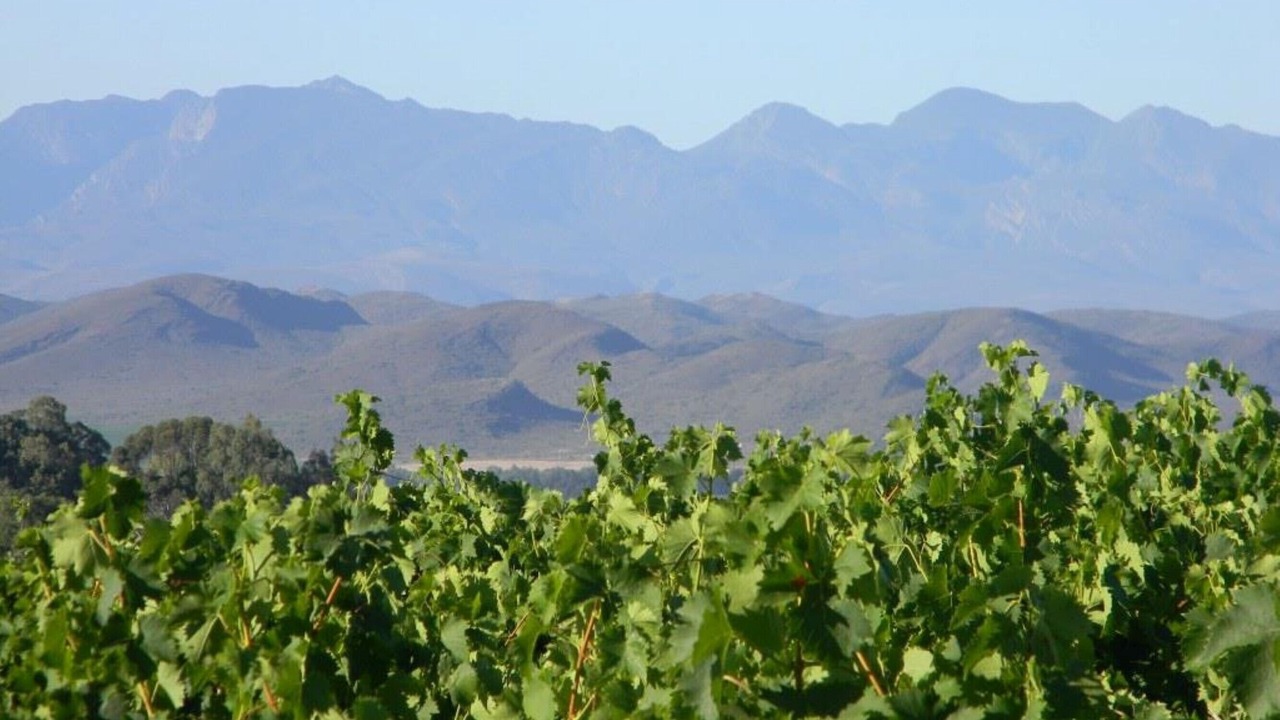 Photo of Outdoor in Langeberg