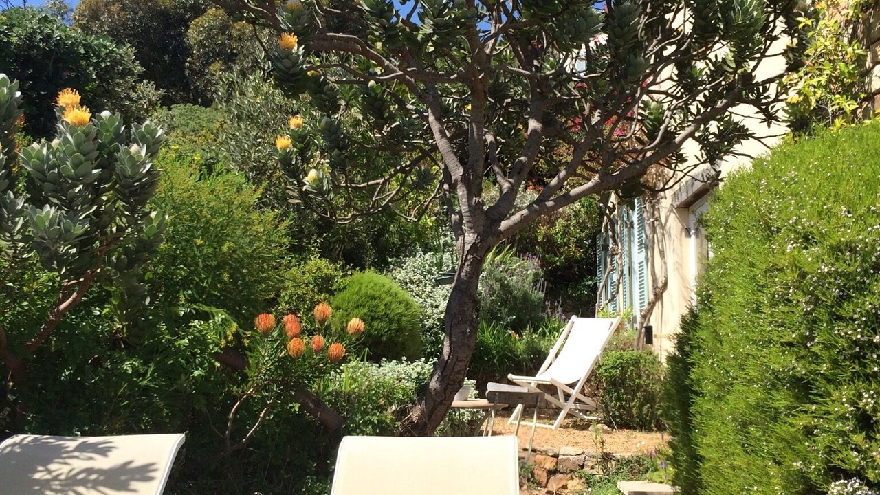 Photo of Patio Balcony in Hout Bay