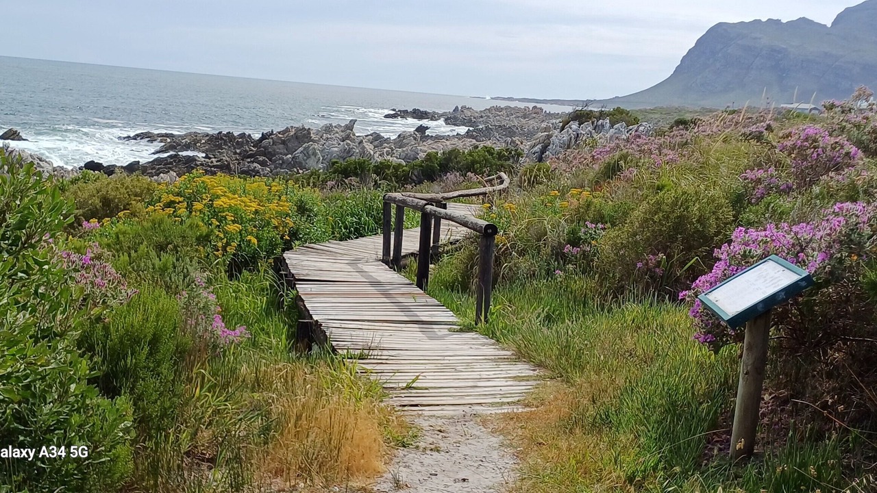 Photo of Others in Kleinmond