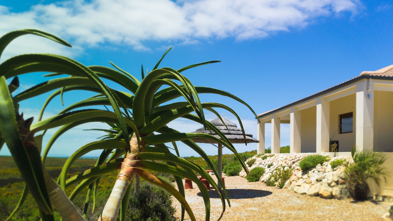 Photo of Outdoor in Pringle Bay