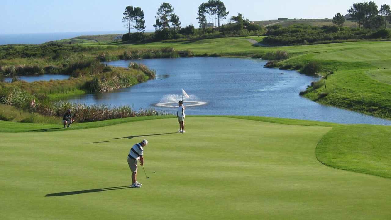 Photo of Others in Knysna