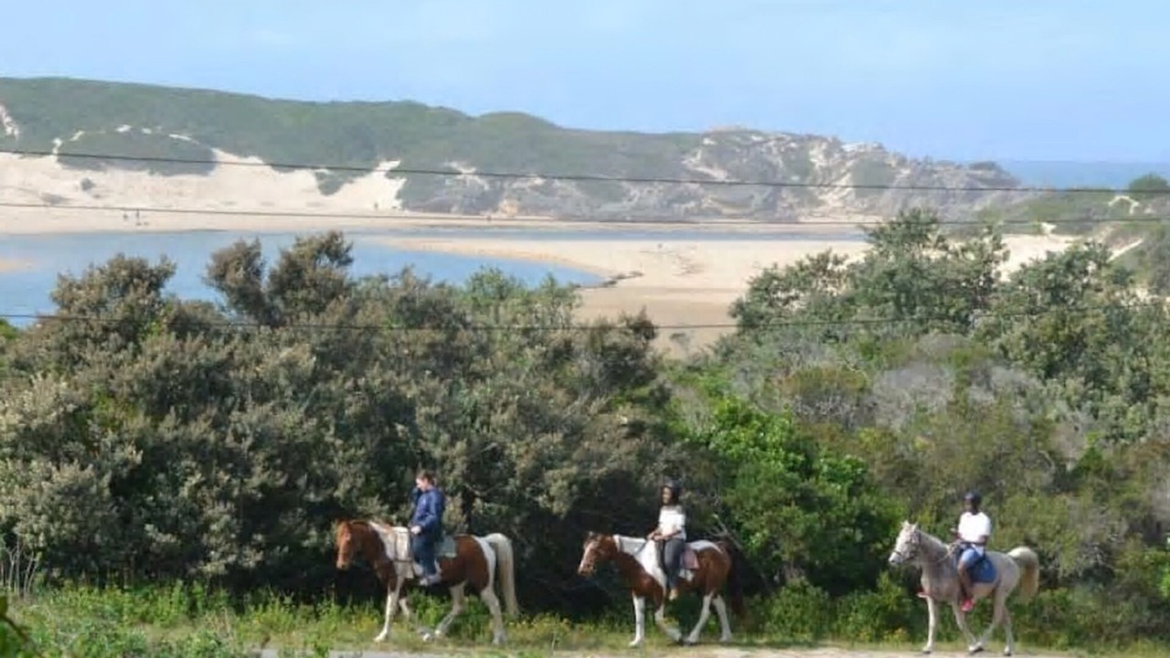 Photo of Outdoor in Bushman's River Mouth