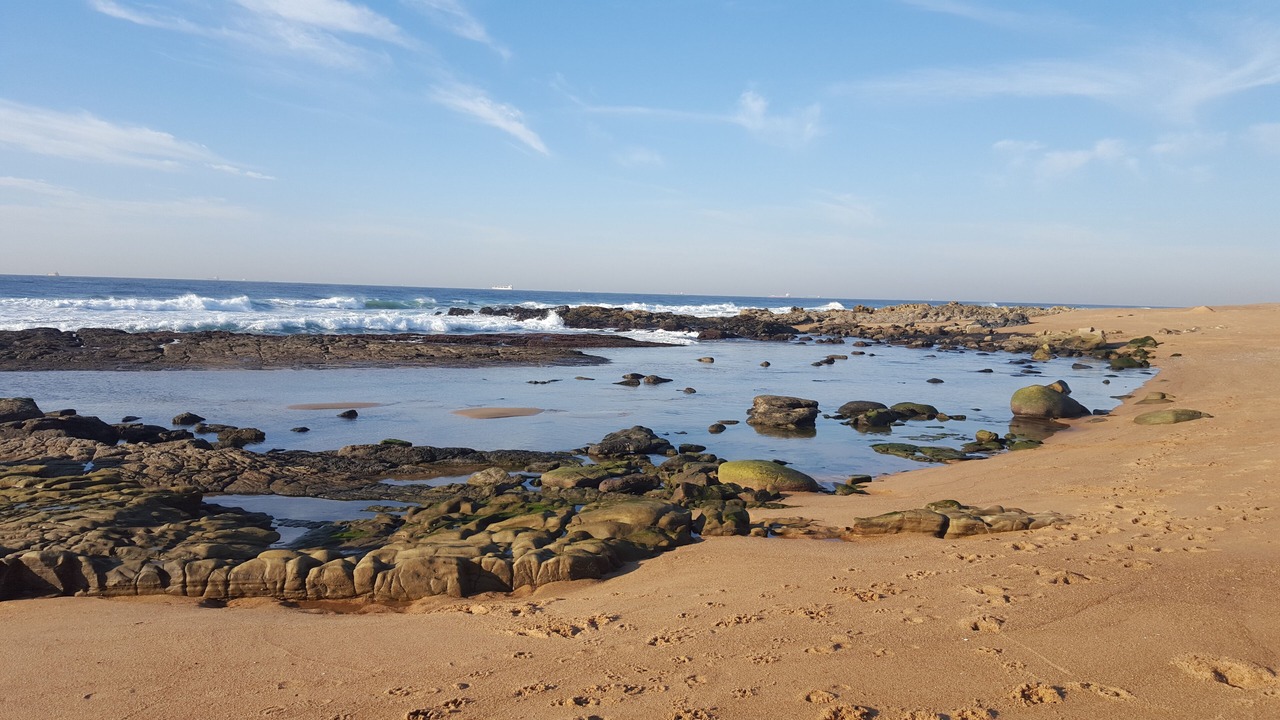 Photo of Others in Selection Beach