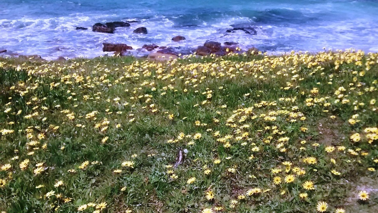 Photo of Outdoor in Muizenberg