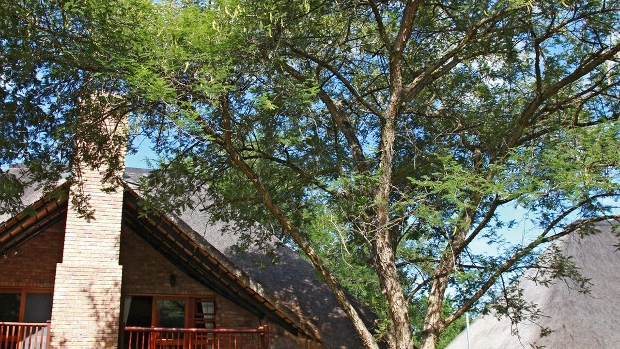 Photo of Outdoor in Hazyview