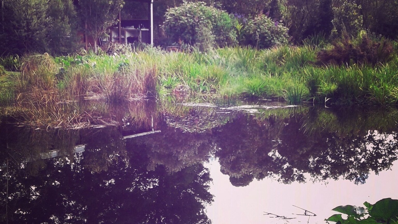 Photo of Outdoor in Storms River
