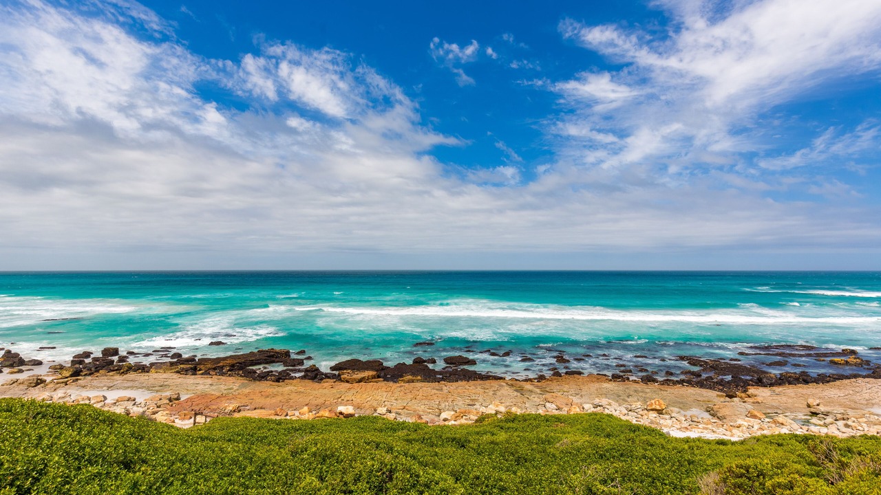 Photo of Others in Cape Peninsula