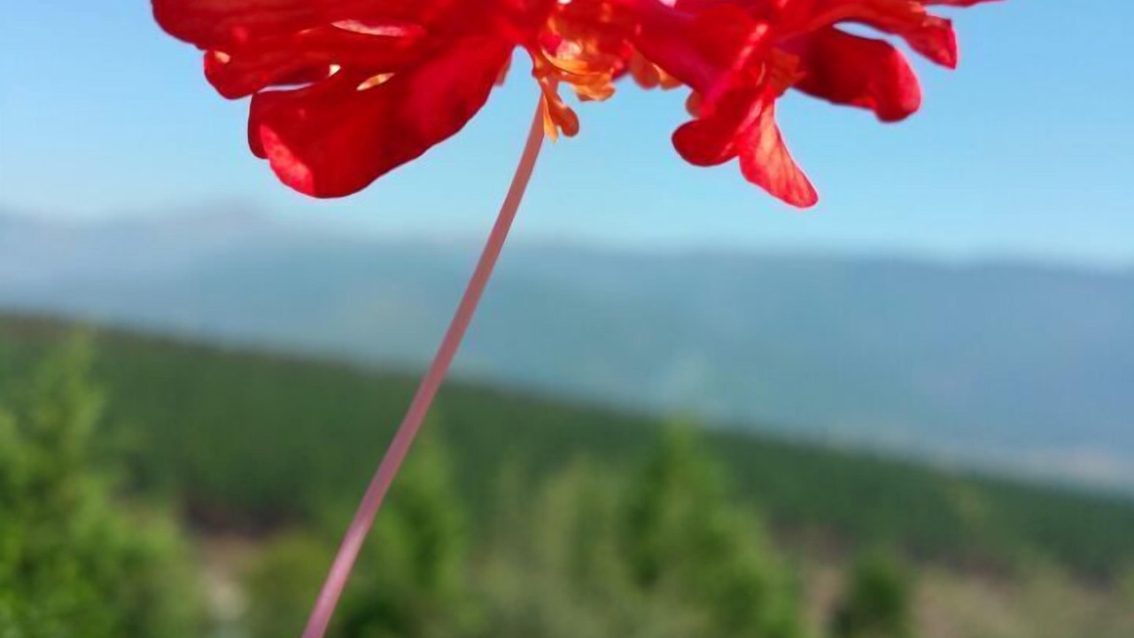 Photo of Outdoor in Sabie