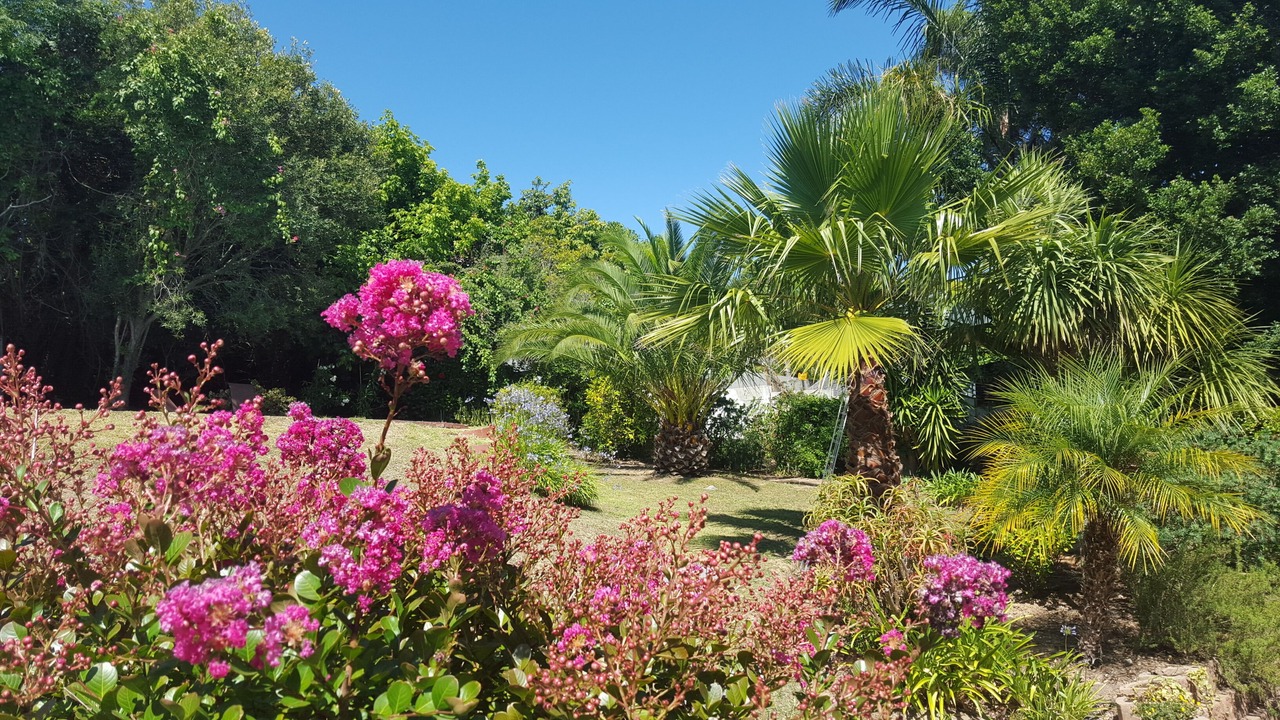 Photo of Outdoor in Stellenbosch