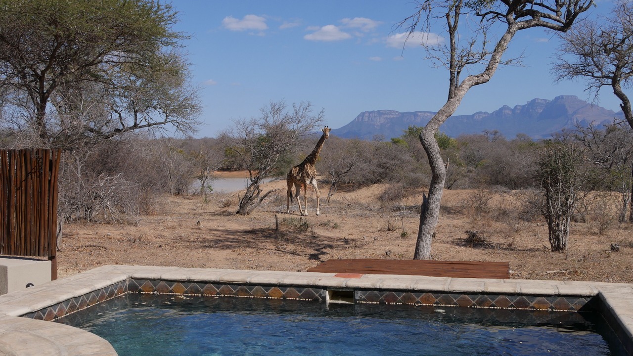 Photo of Others in Hoedspruit