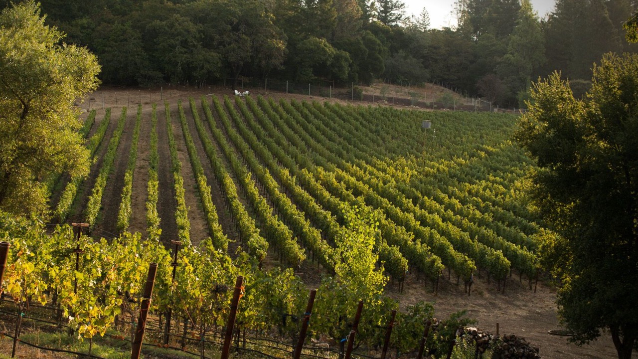 Photo of Others in Napa County