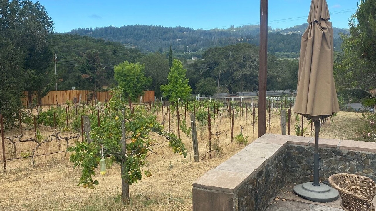 Photo of Bedroom in Healdsburg