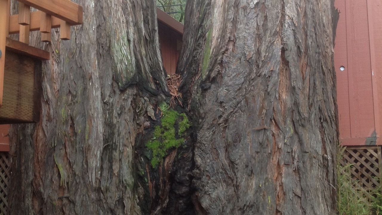 Photo of Others in Healdsburg