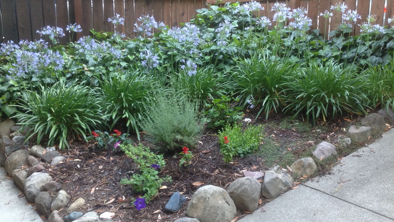 Photo of Outdoor in Healdsburg