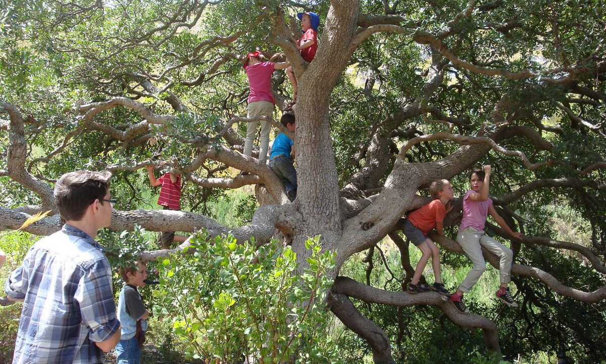 Photo of Others in Stanford