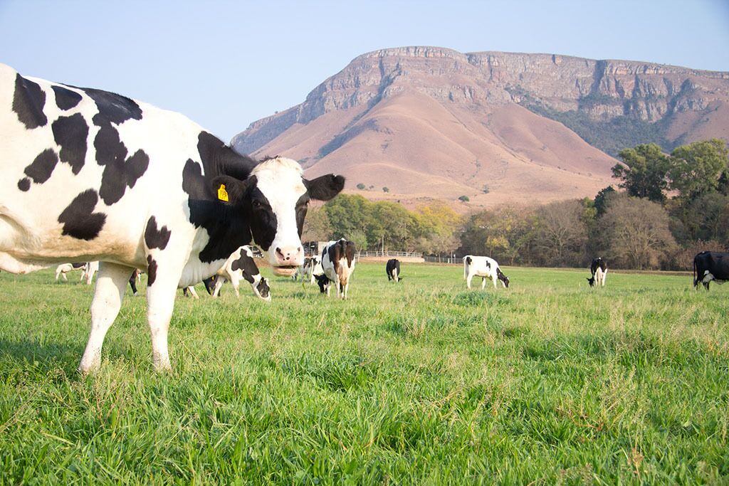 Photo of Outdoor in Lydenburg