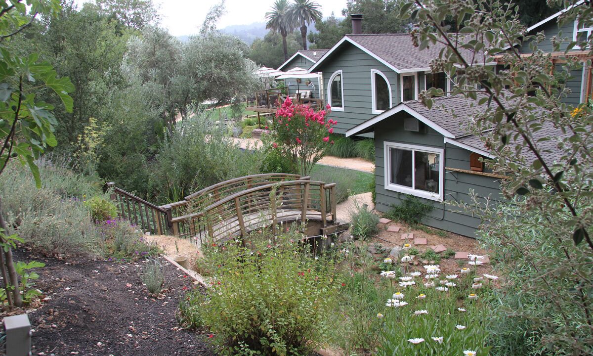 Photo of Others in Geyserville