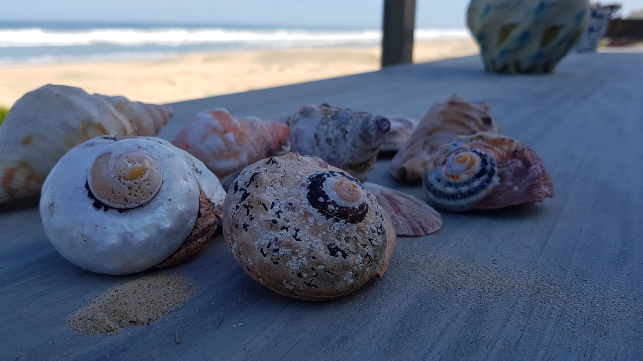Photo of Others in Cannon Rocks