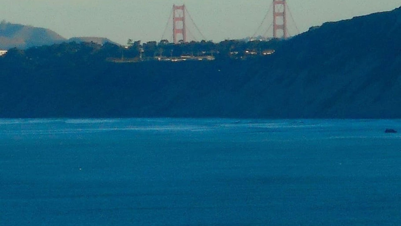 Photo of Others in Pedro Point