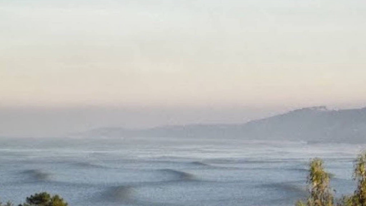 Photo of Others in Pedro Point