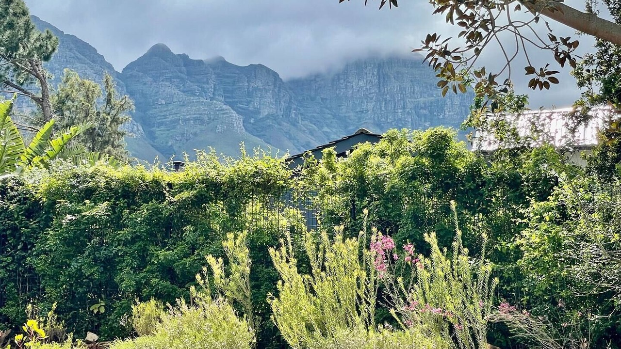 Photo of Outdoor in Somerset West