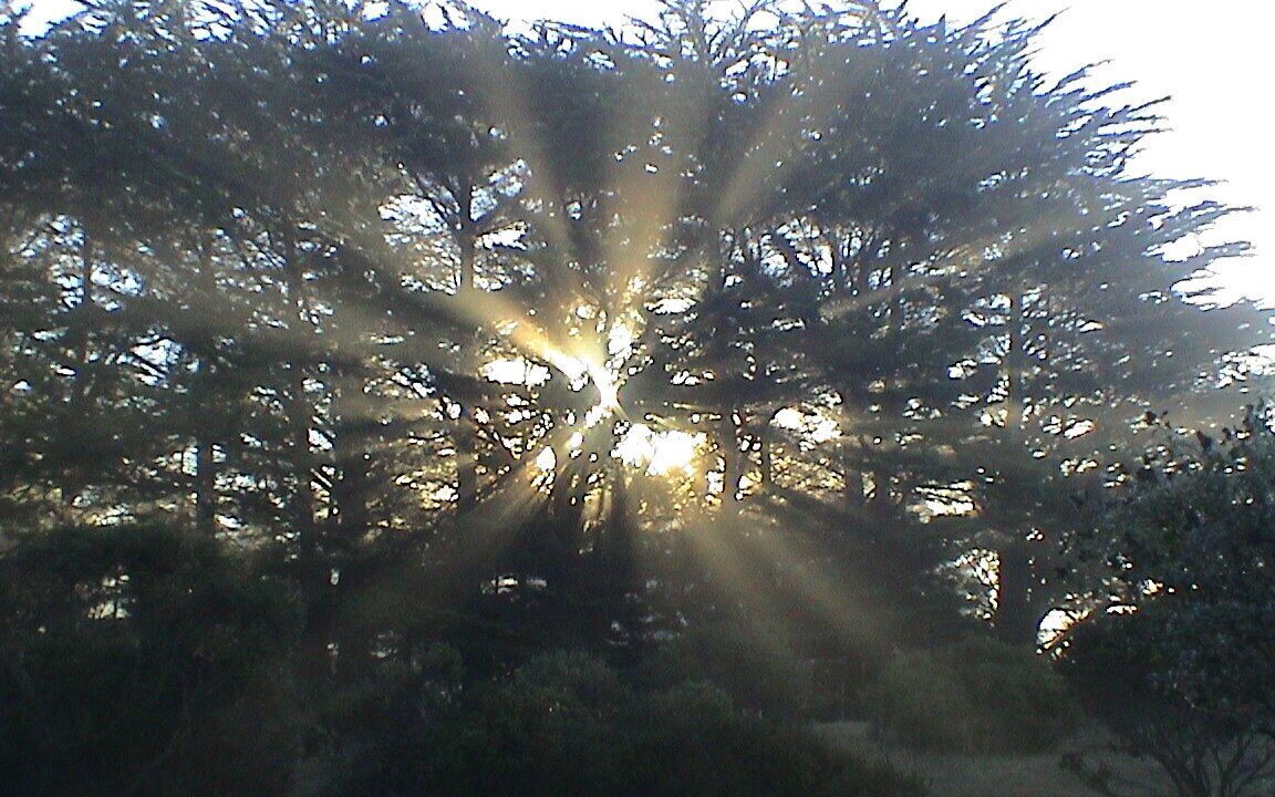Photo of Others in Point Reyes Station