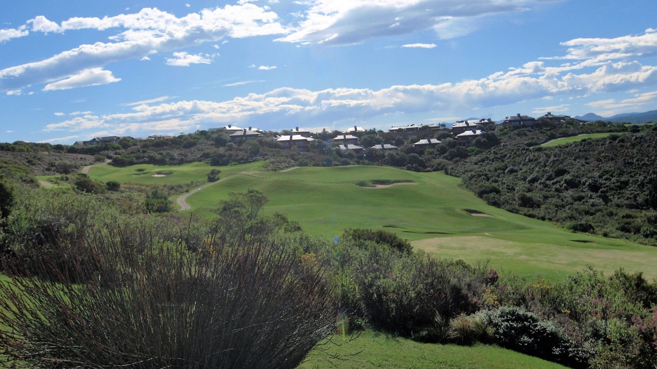 Photo of Others in Knysna