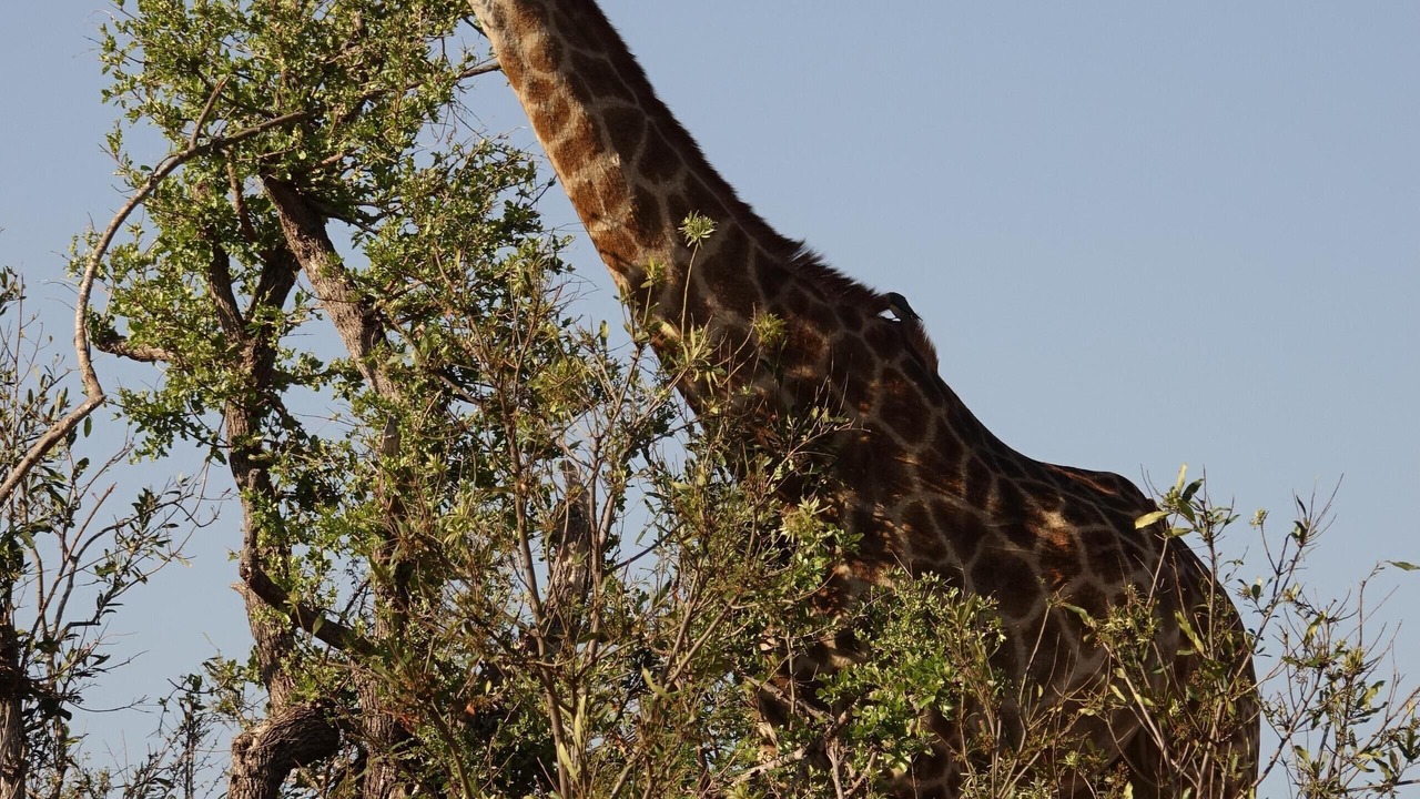 Photo of Outdoor in Hoedspruit