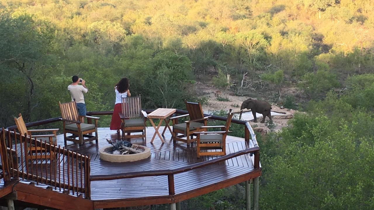 Photo of Others in Hoedspruit