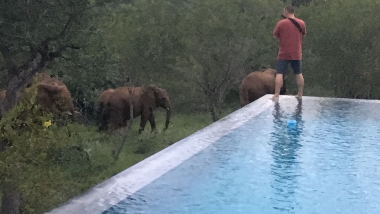 Photo of Outdoor in Hoedspruit