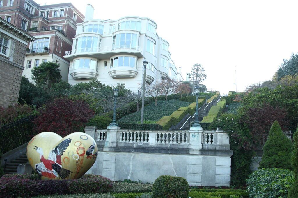 Photo of Others in Marina District
