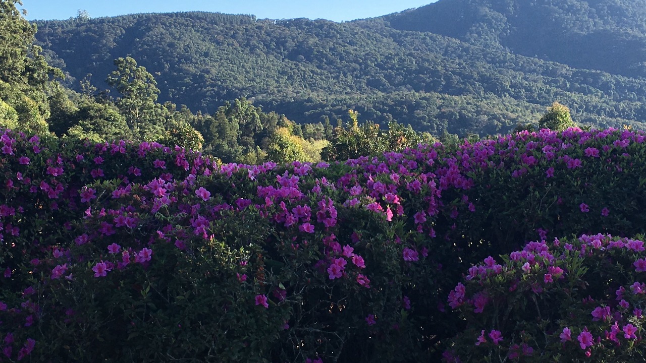 Photo of Outdoor in Tzaneen