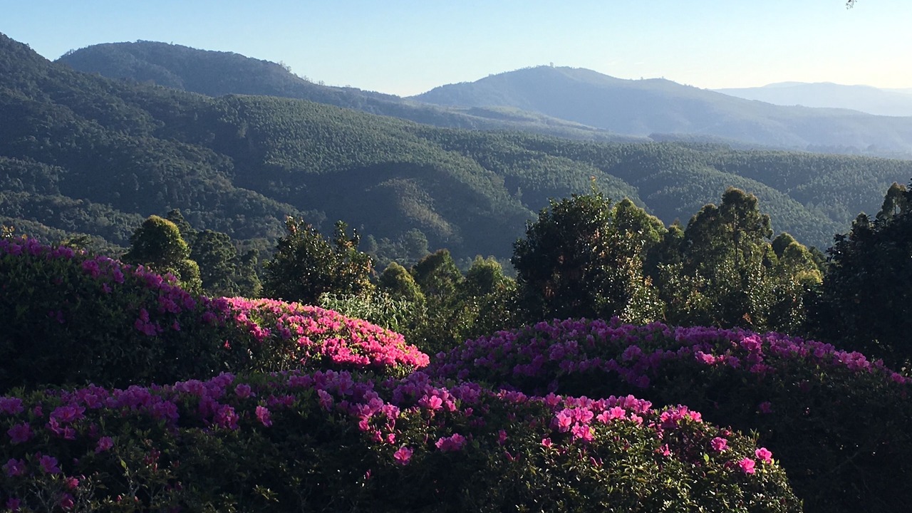 Photo of Outdoor in Tzaneen