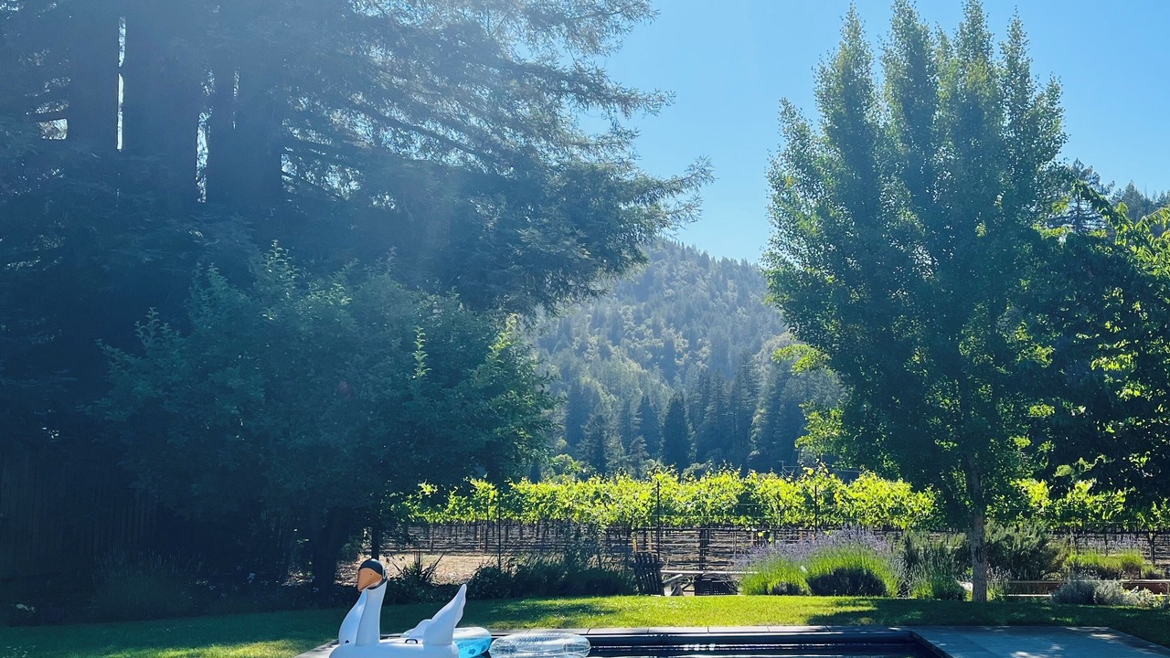 Photo of Outdoor in Guerneville