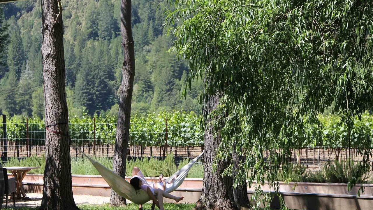 Photo of Others in Guerneville