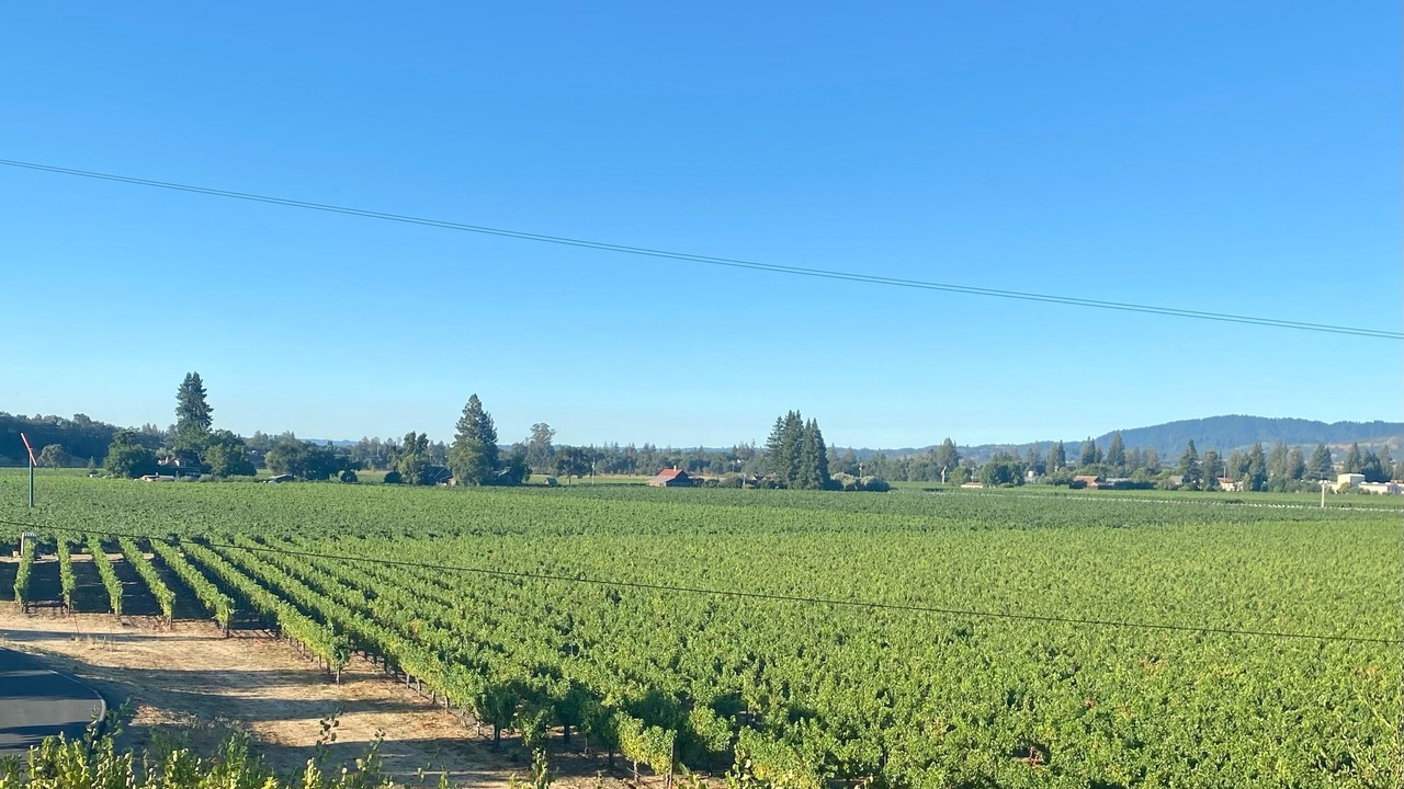 Photo of Others in Healdsburg