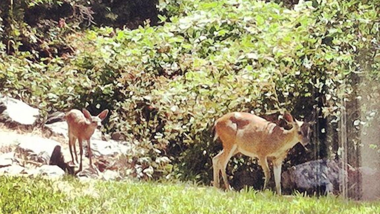 Photo of Others in Kenwood