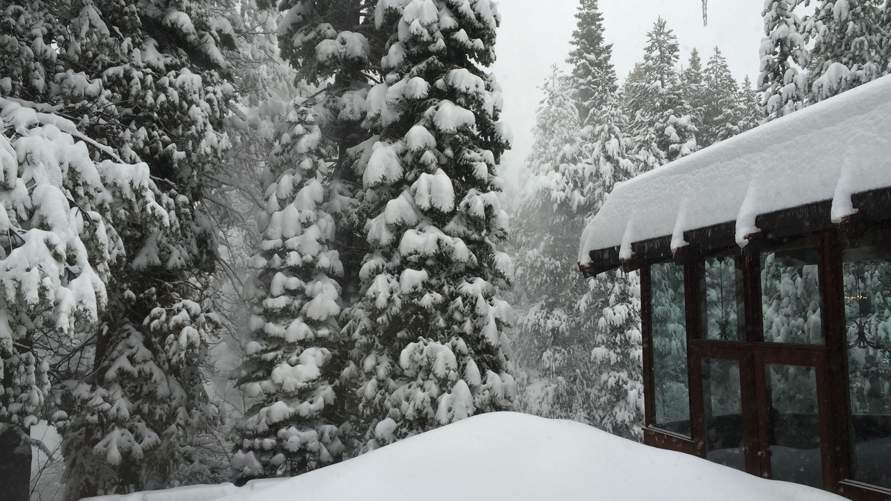 Photo of Others in Olympic Valley