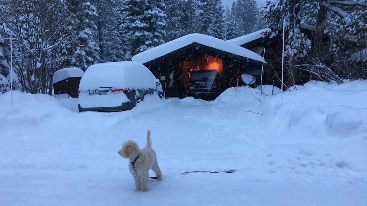Photo of Others in Olympic Valley