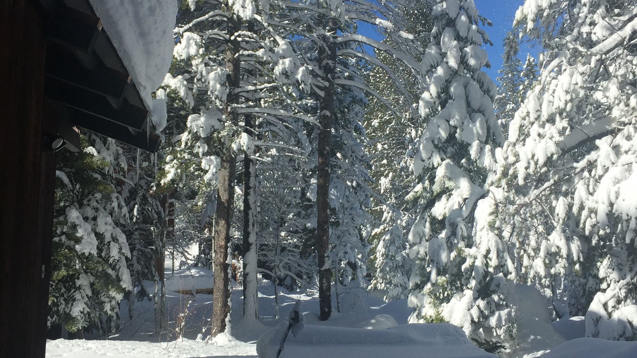 Photo of Others in Olympic Valley