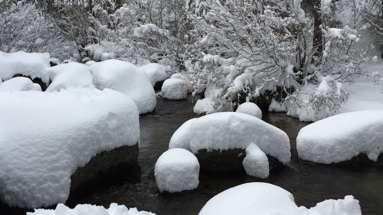 Photo of Others in Olympic Valley