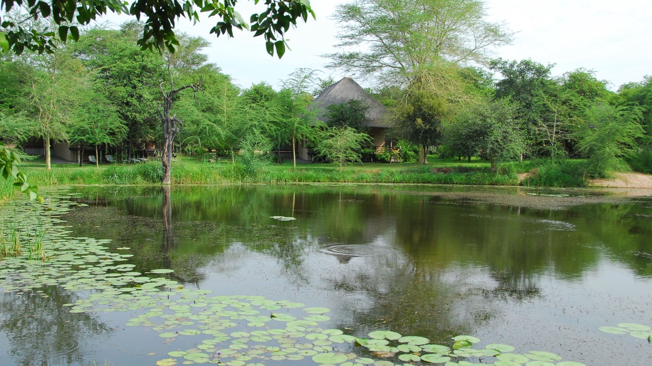 Photo of Outdoor in Phalaborwa