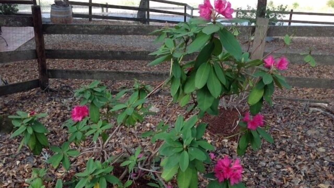 Photo of Outdoor in Sonoma