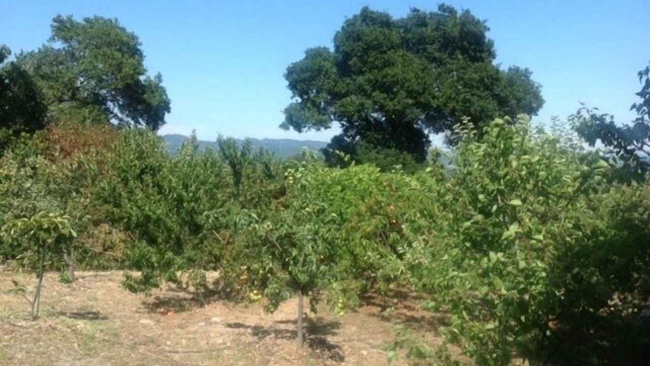 Photo of Outdoor in Sonoma